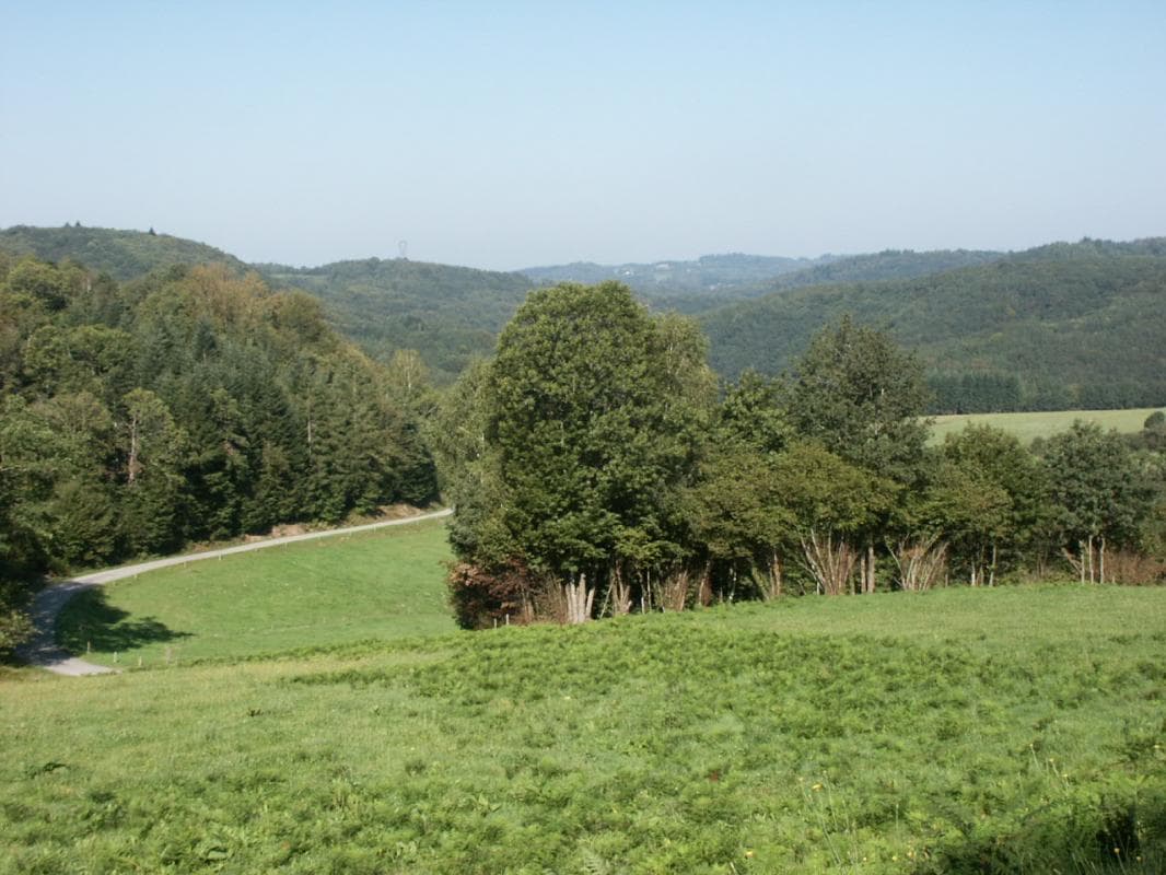 Gite "Samis" à Saint Julien Le Petit en Haute-Vienne (Limousin en Nouvelle Aquitaine)_2