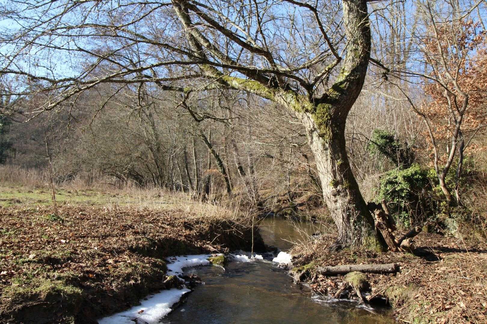 Le gîte de la rapiette à Saint Léonard de Noblat en Haute-Vienne (Limousin)_21