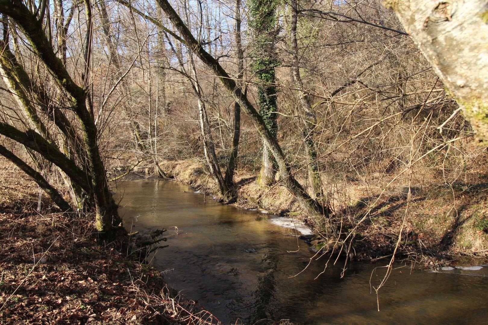 Le gîte de la rapiette à Saint Léonard de Noblat en Haute-Vienne (Limousin)_18