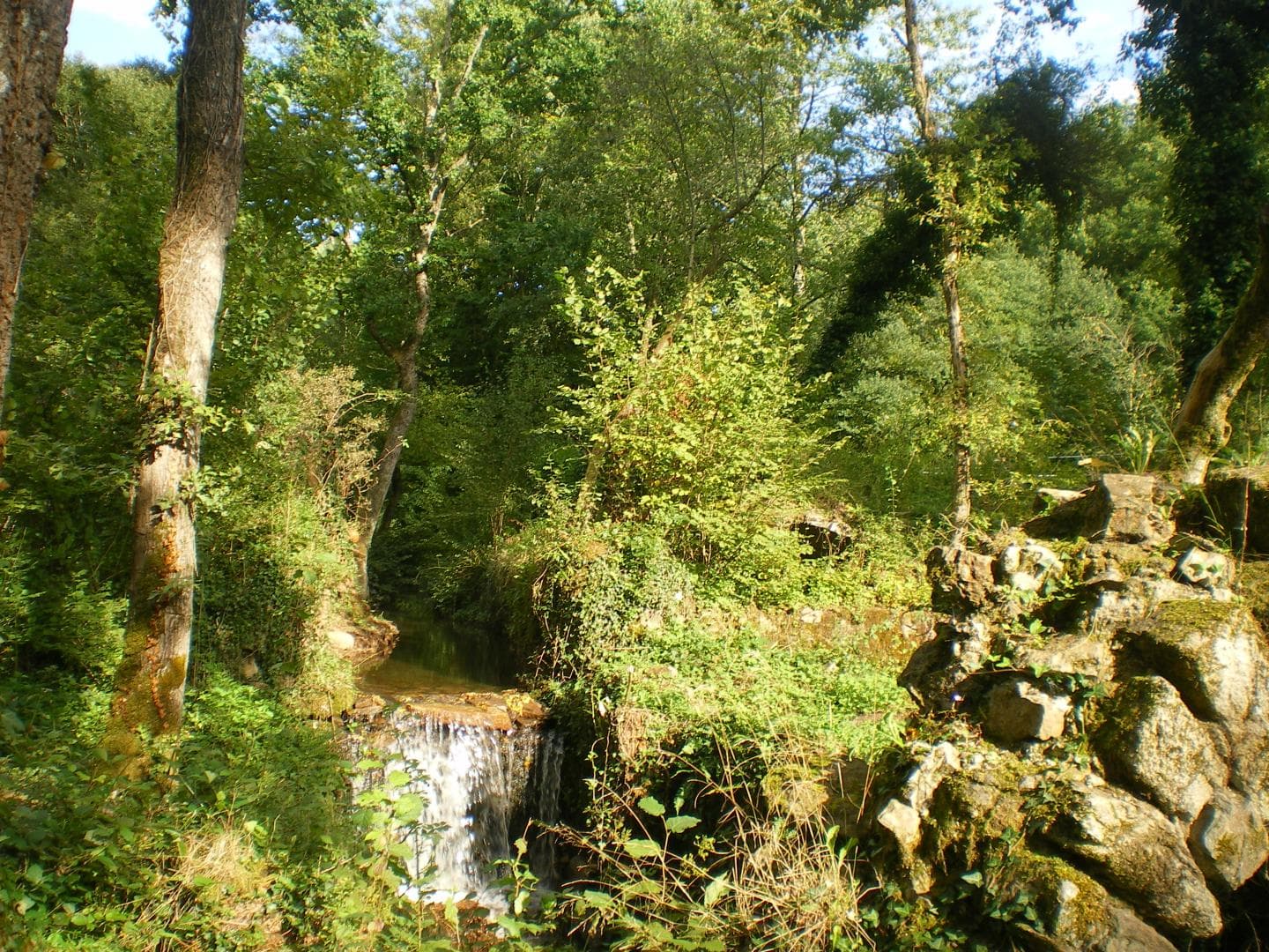 Le gîte de la rapiette à Saint Léonard de Noblat en Haute-Vienne (Limousin)_16