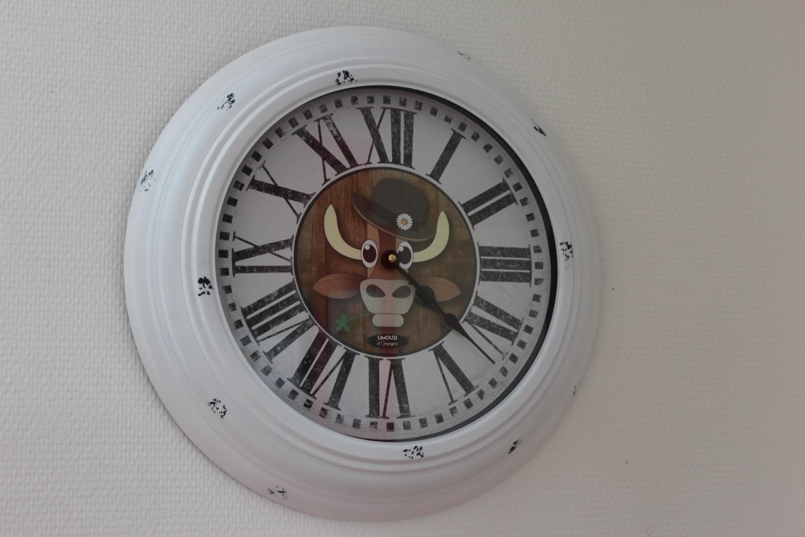 Gîte des Dâmes à Saint Léonard de Noblat en Haute-Vienne (Nouvelle-Aquitaine)- Pendule limousine_53
