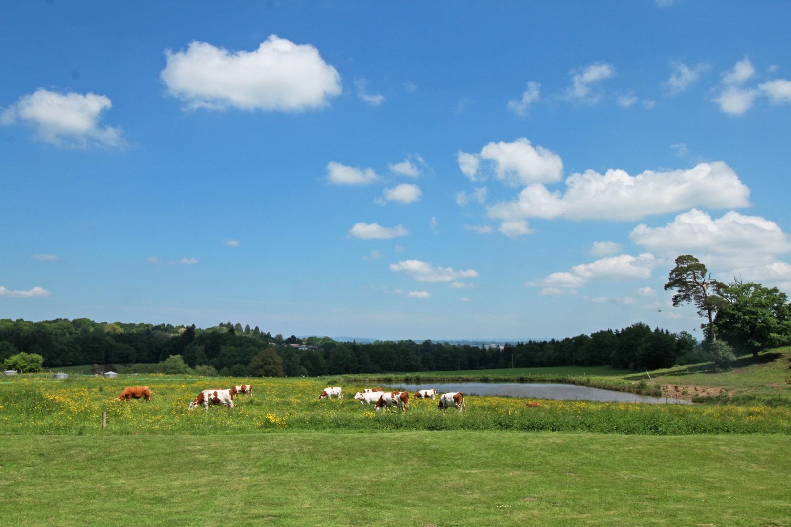 Chambres et Table d'Hôtes de Charme "Le Masbareau" à Royères en Haute-Vienne Limousin Nouvelle Aquitaine_40