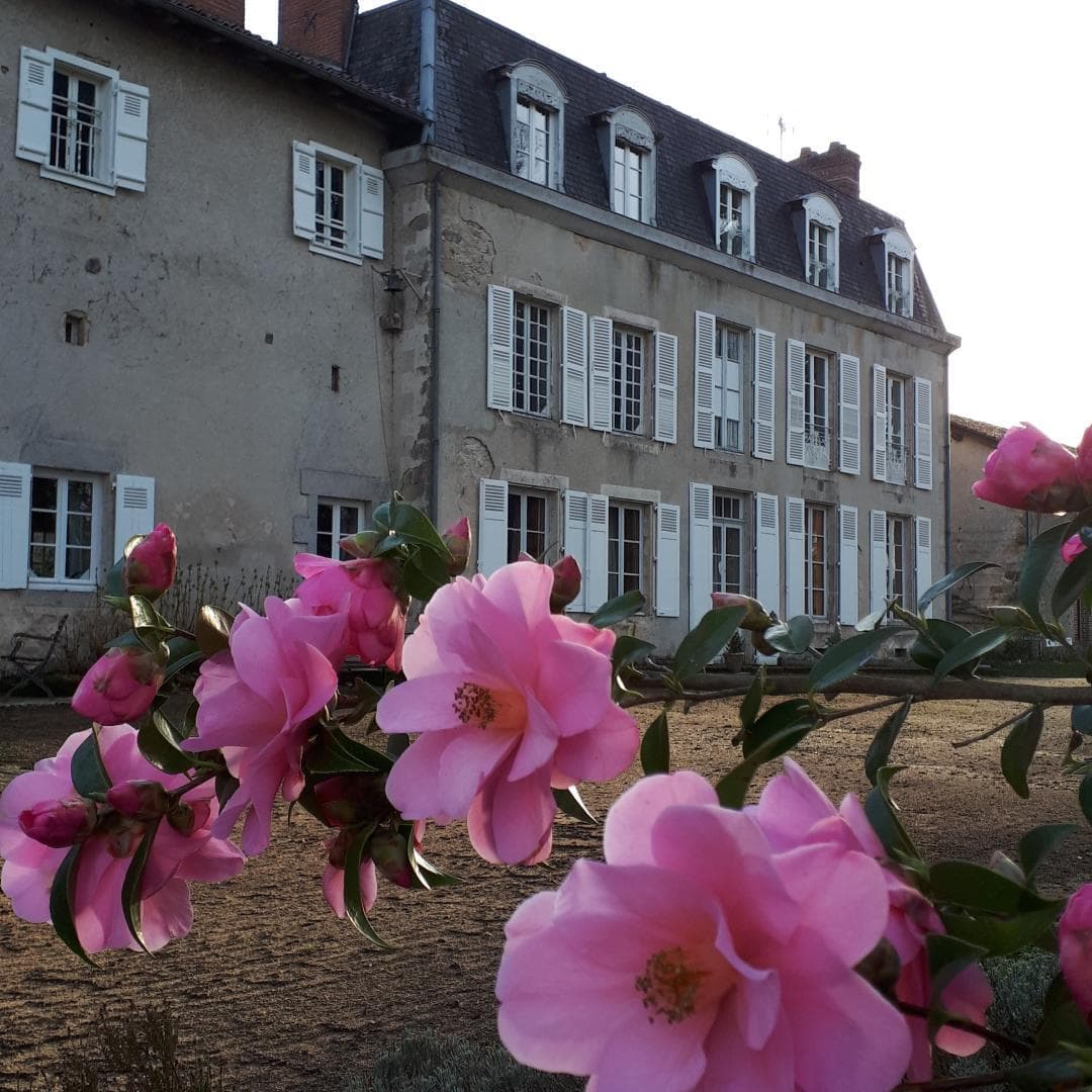Vive le Printemps au Masbareau, Chambres et Table d'Hôtes de Charme à Royères Haute-Vienne Limousin Nouvelle Aquitaine_42