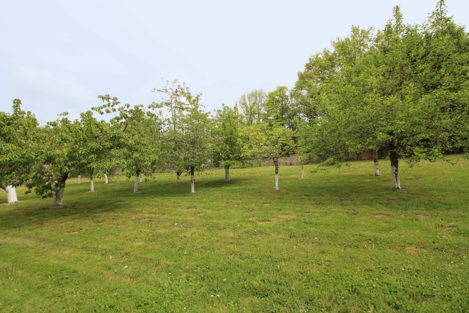 Gite de la maison du potager à Montintin, commune de Chateau Chervix_22