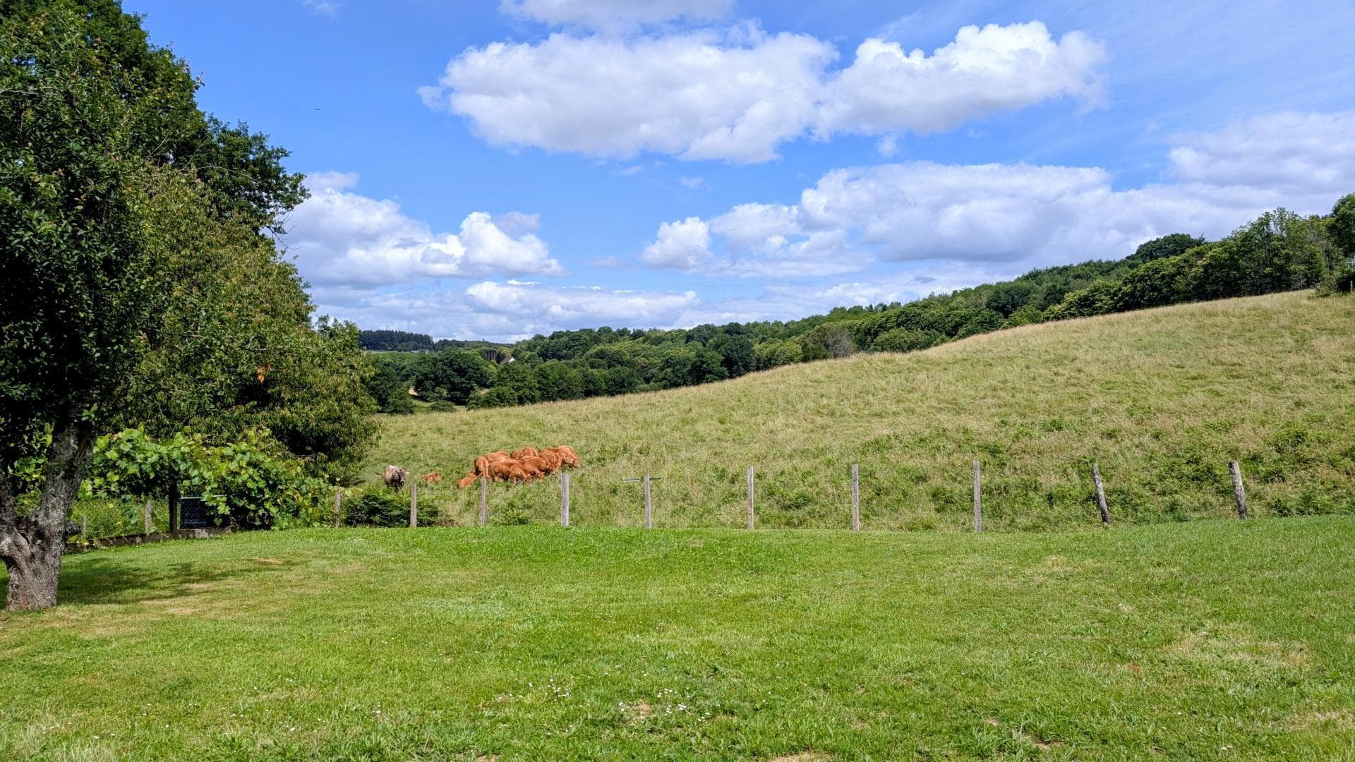 Gite du Fer à Cheval - commune de Saint Yrieix La Perche en Haute-Vienne - Nouvelle Aquitaine - vue arrière_16