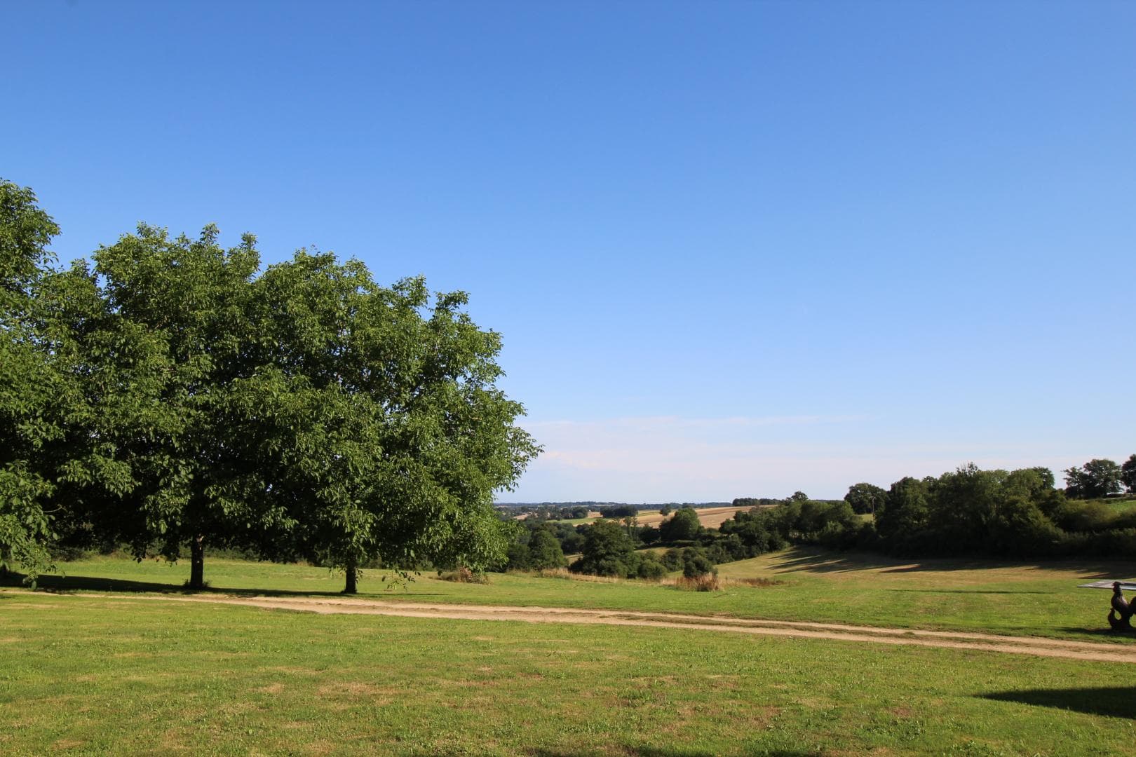 Vue sur la prairie,prise sur le seuil du gîte._17
