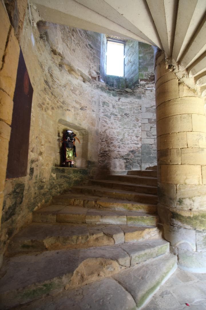 Le vieux château à Vicq sur Breuilh en Haute-Vienne (Nouvelle Aquitaine)_35