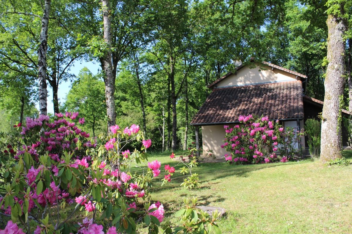 Gite "Chataignol - Etang de La Roche" à Meuzac en Haute-Vienne (Limousin)_1