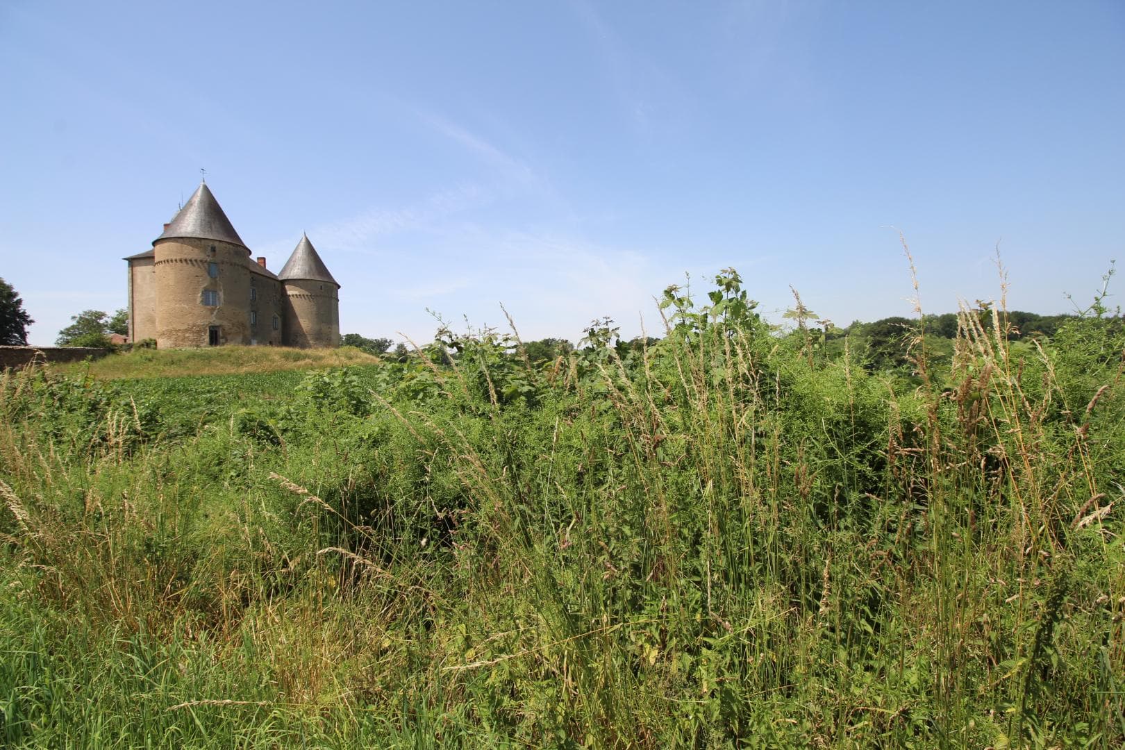 Chateau de Brie_38