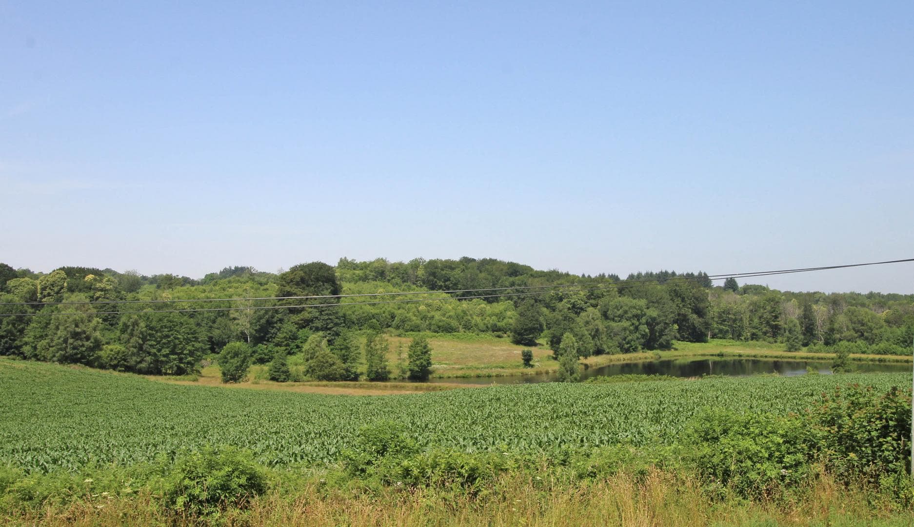 Gite" La Feuillardière" à Champagnac La Riviere en Haute-Vienne_37