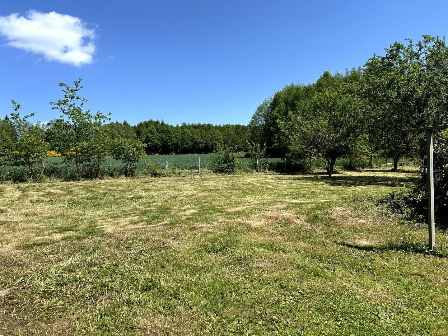 Le Gîte d'Élise à Cussac en Haute-Vienne (Nouvelle Aquitaine)_46