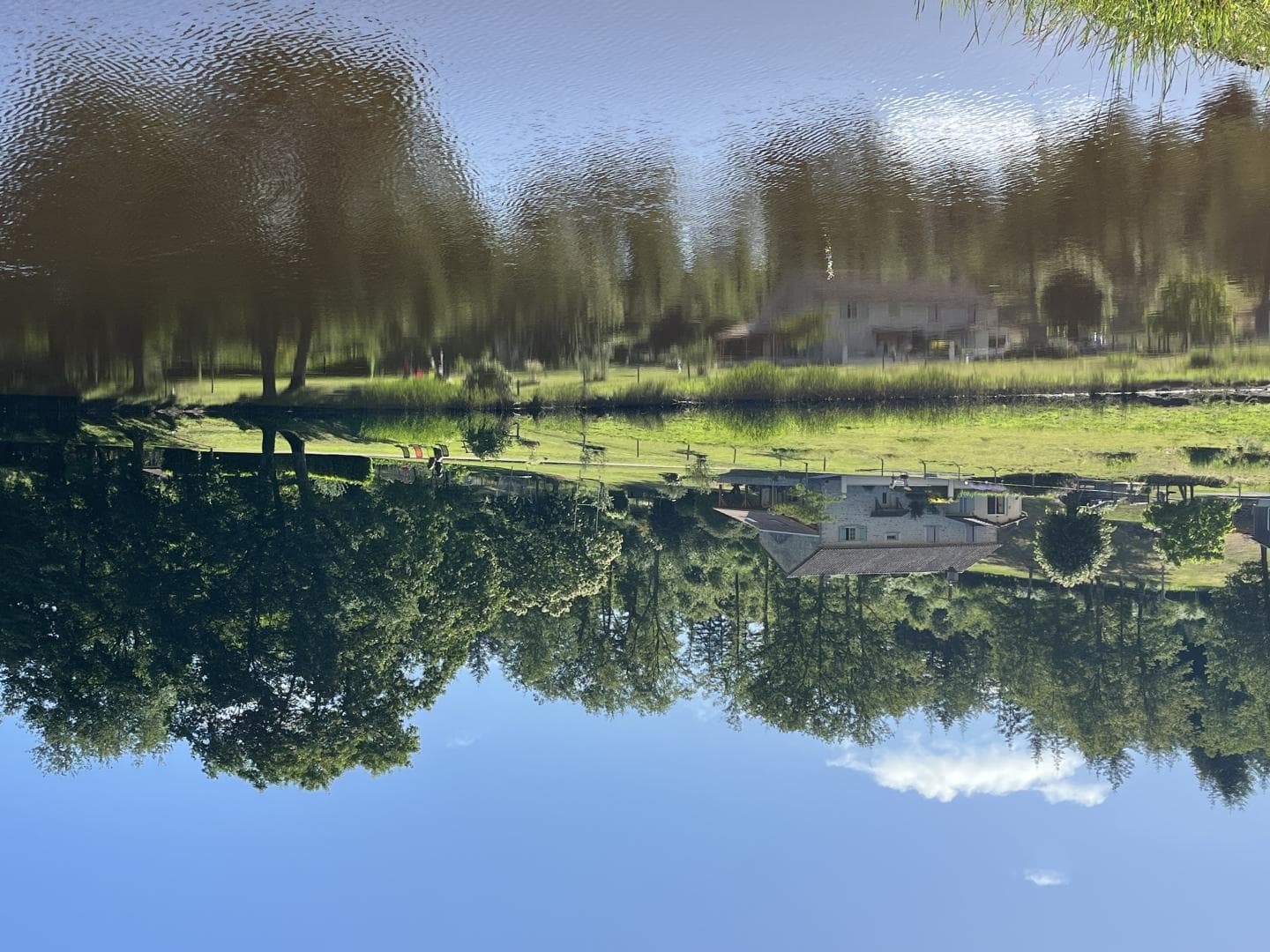 _40