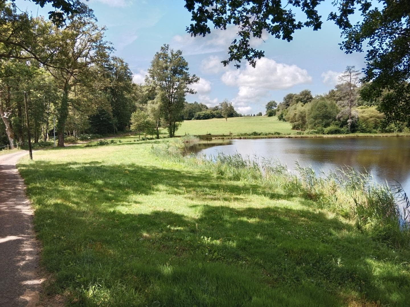 Gite de la Petite Lisonne - commune de Marval en Haute-vienne - Limousin - _26