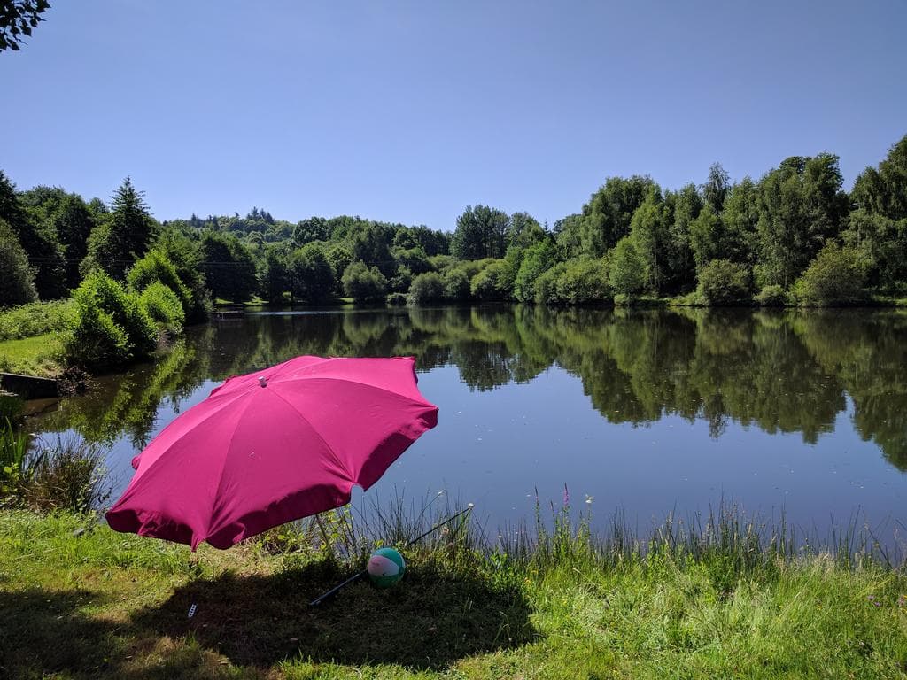 Gite Les Frenes, Hameau de La Maridele à cussac en Haute-Vienne_16