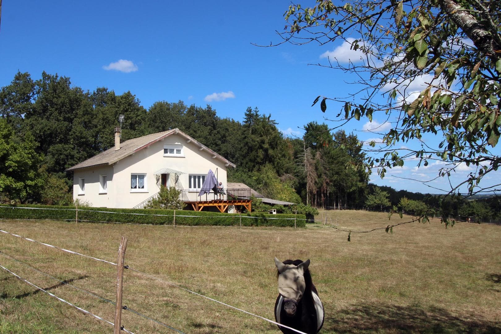 Gite du bois de l'Age à Saint Auvent en Haute-Vienne (Nouvelle-Aquitaine)_19