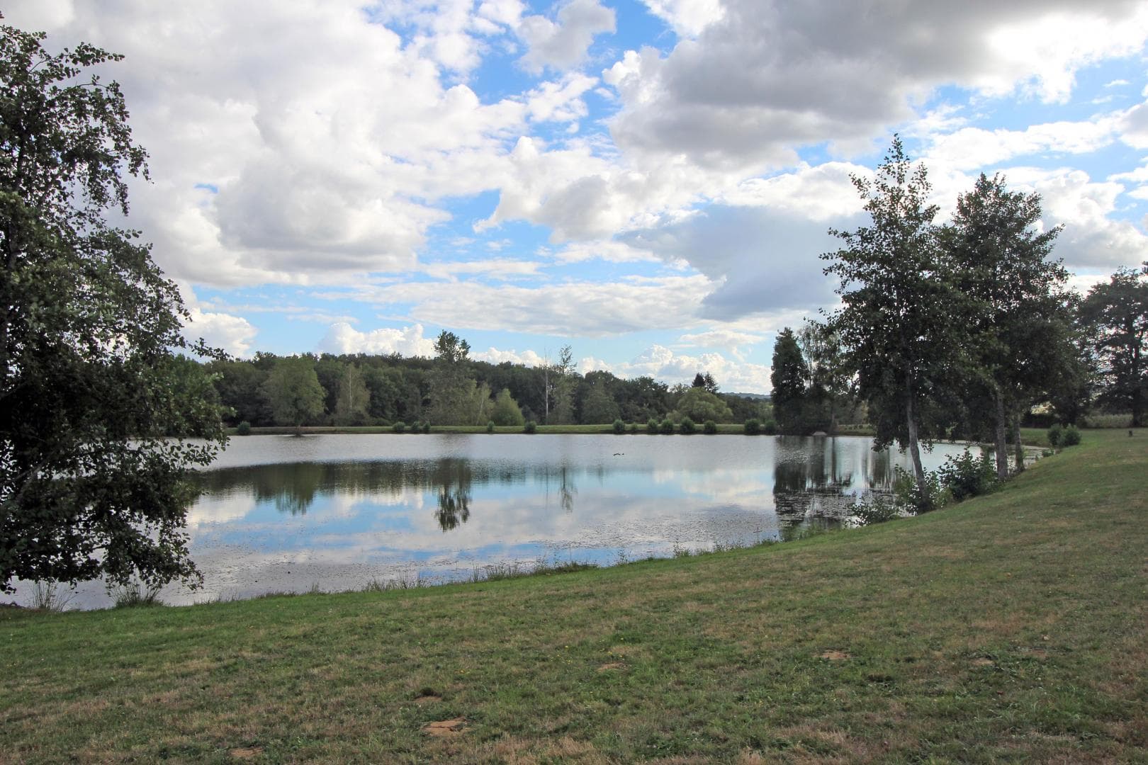 Gite "Le Chambéry" à Saint Brice Sur Vienne en Haute-Vienne _4