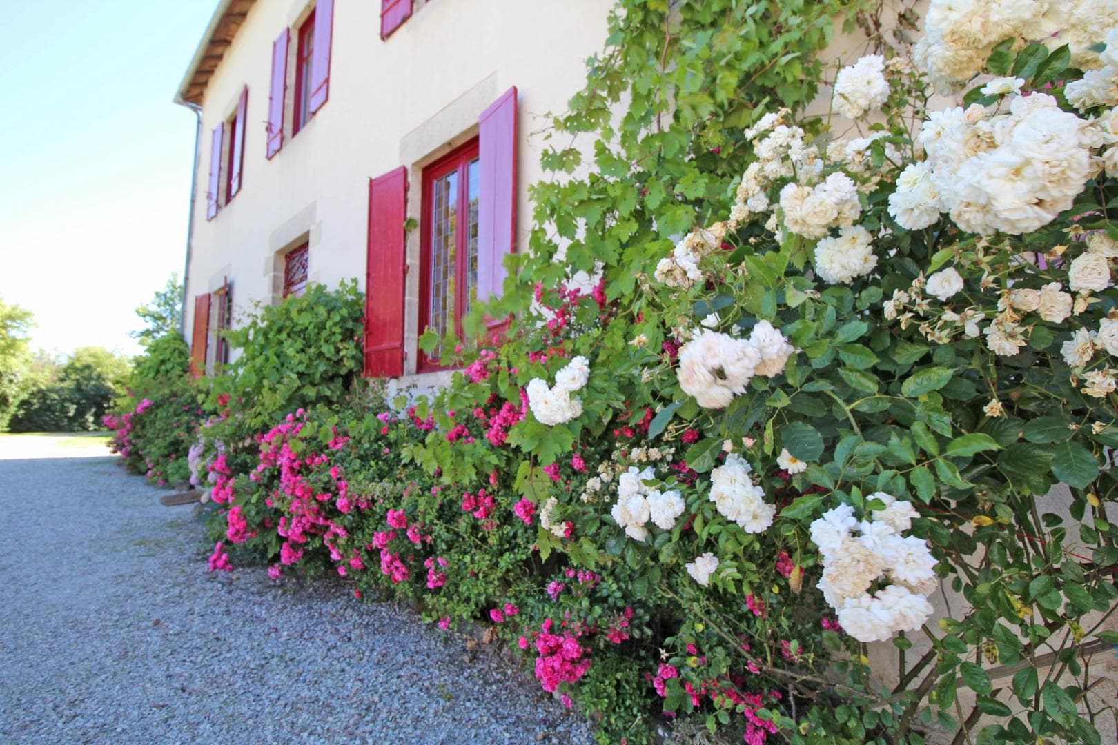 Gîte Le Boucheron à Beynac en Haute-Vienne (Limousin), façade avant._39