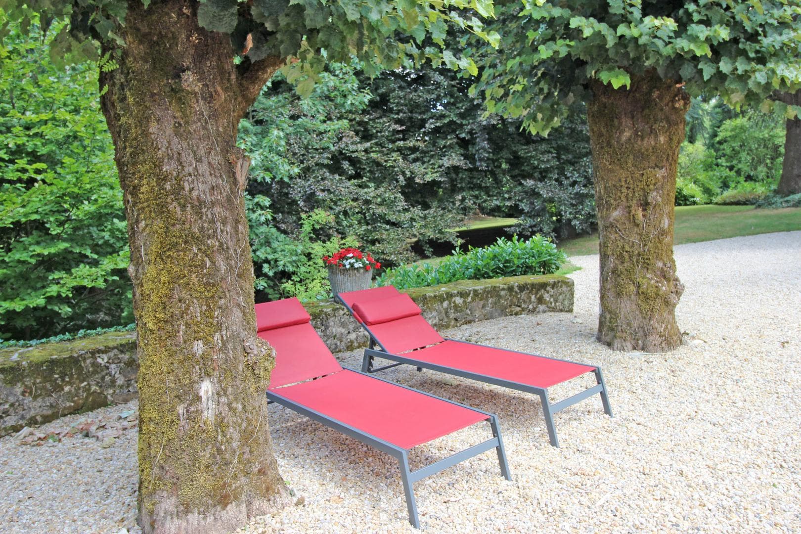 gite du Boschaudérier à Saint Gence en Haute-Vienne_42