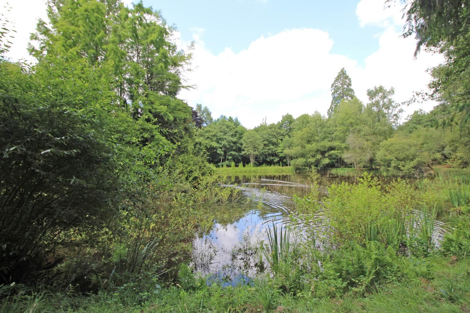 gite du Boschaudérier à Saint gence en Haute-Vienne_39