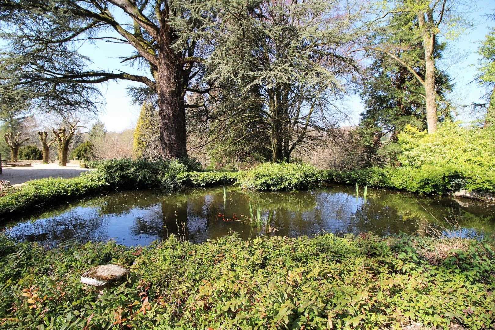 gite du Boschaudérier à Saint Gence en Haute-Vienne_31