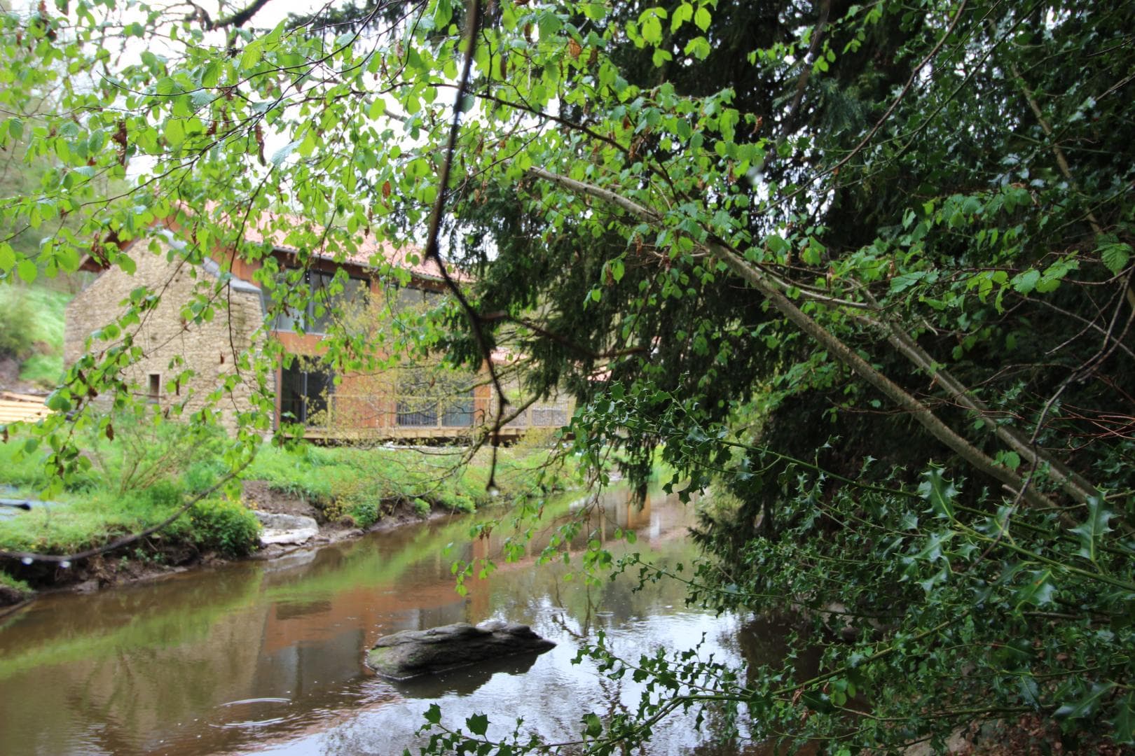 Gîte Le Rabaud à Saint Gence en Haute-Vienne (Nouvelle-Aquitaine)_51