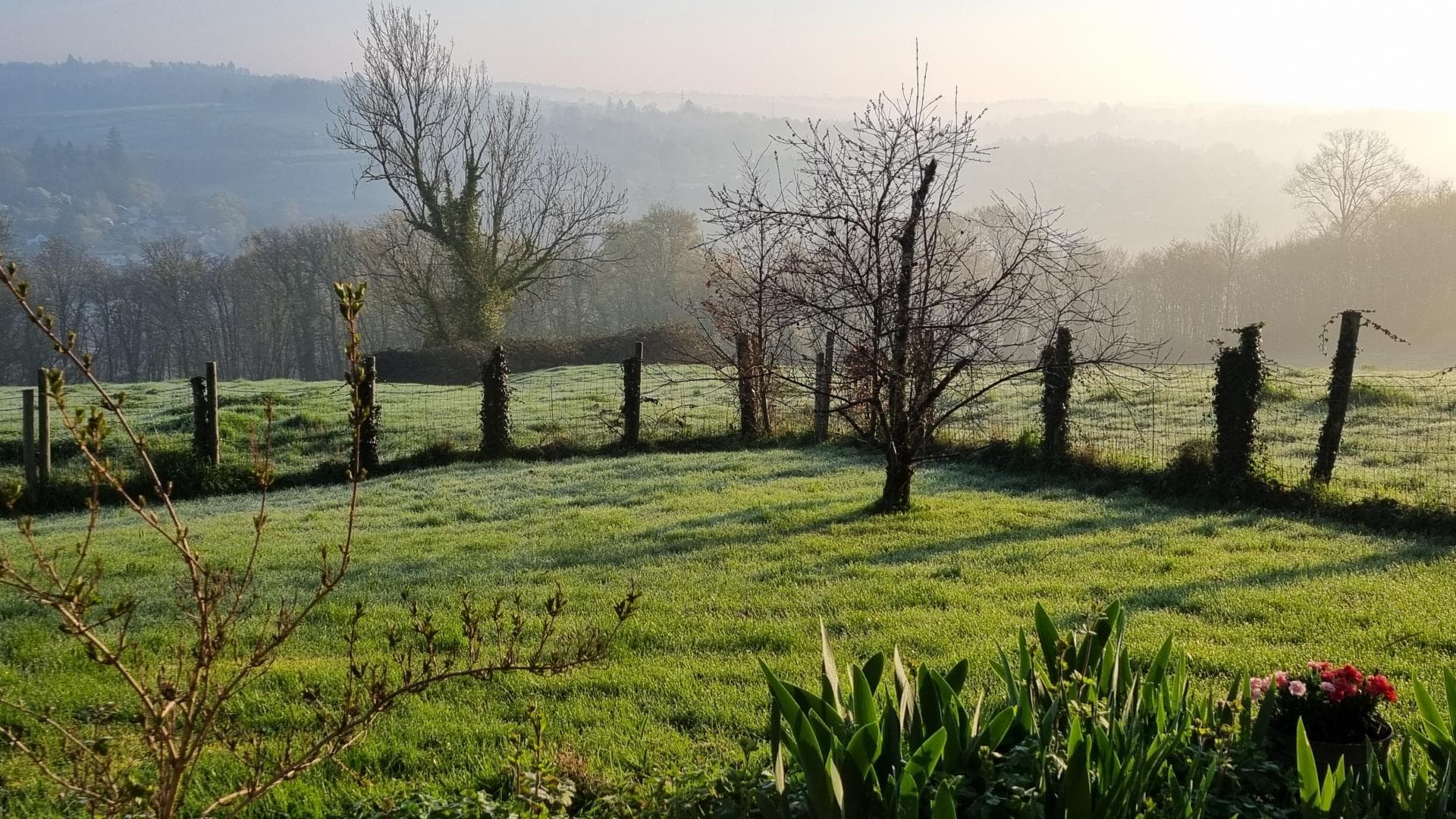 Gite "Le Cherveix" à Solignac en Haute-Vienne (Nouvelle Aquitaine)_38