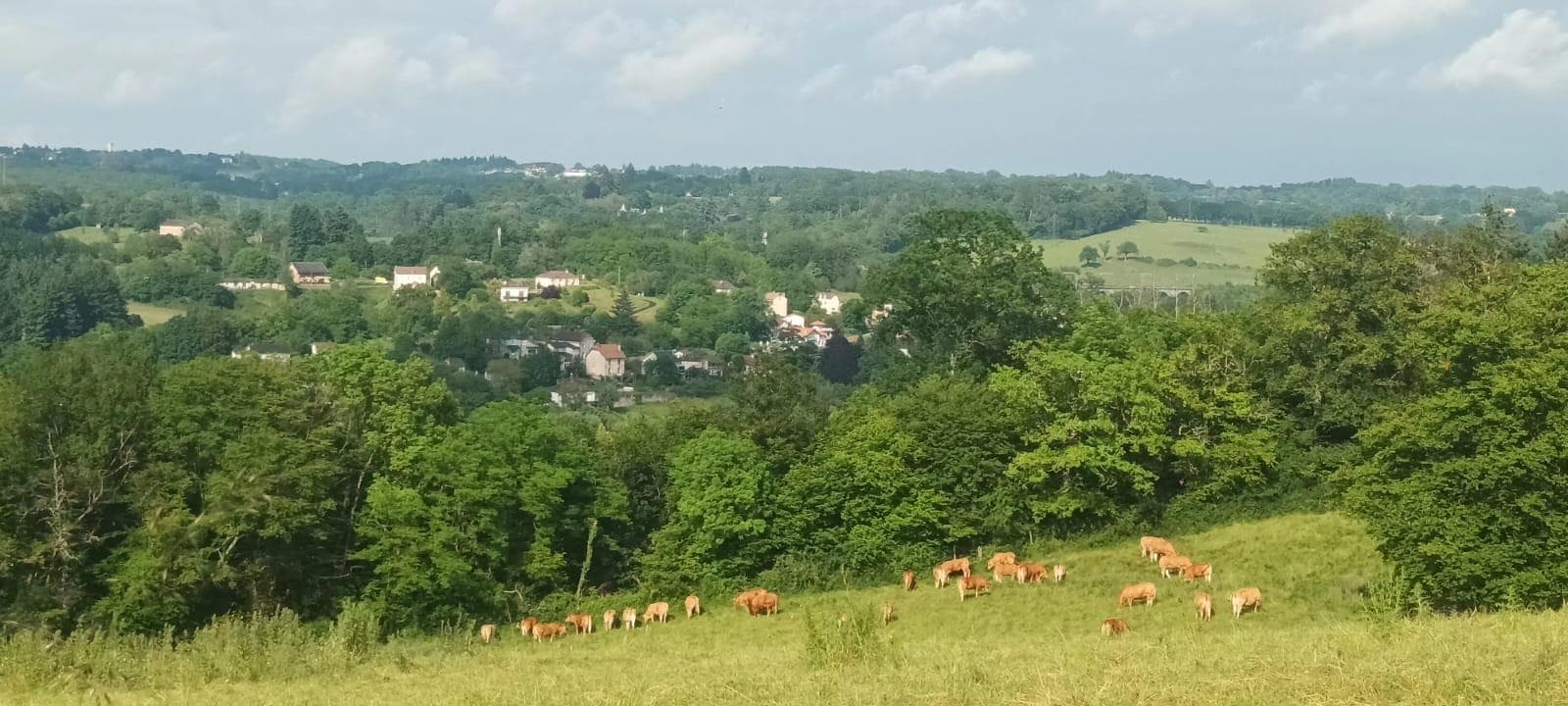 Gite "Le Cherveix" à Solignac en Haute-Vienne (Nouvelle Aquitaine)_33