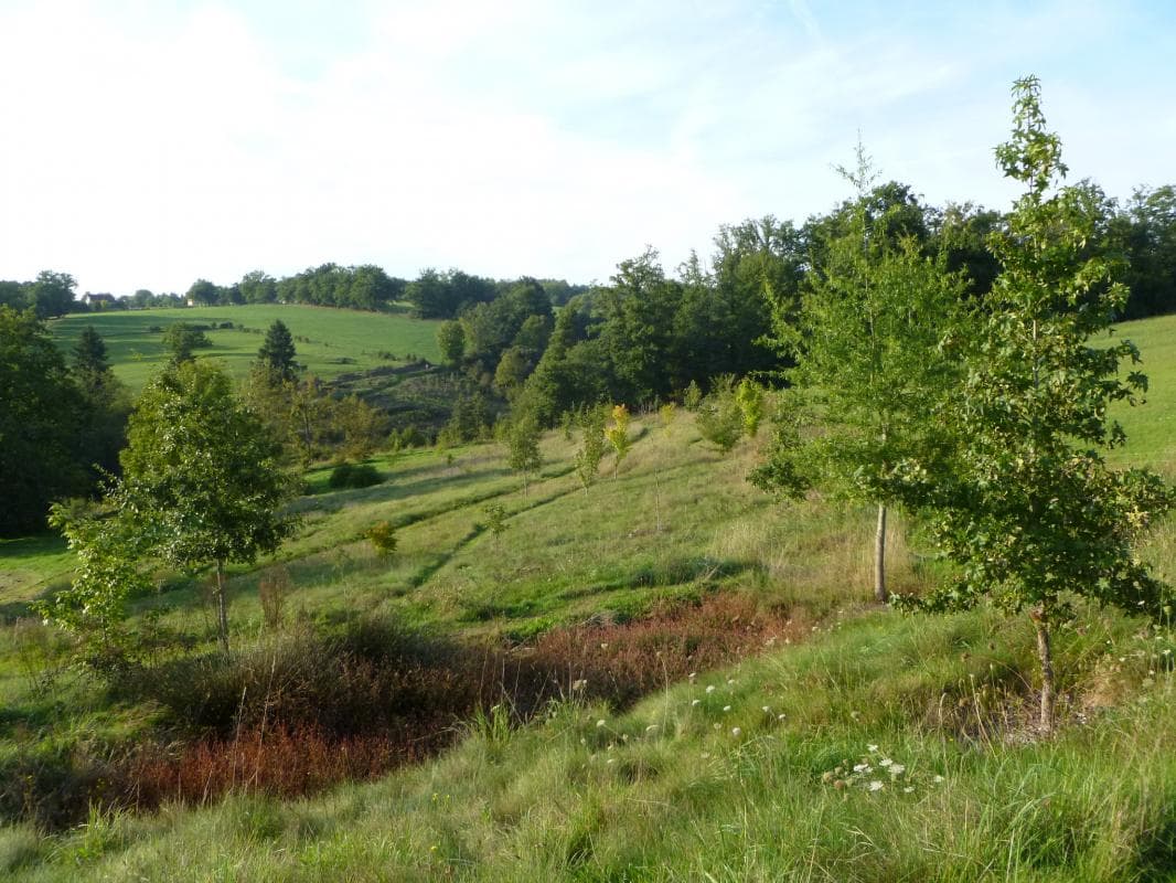 Gite "Leygat" à Solignac en Haute-Vienne (Limousin)_20