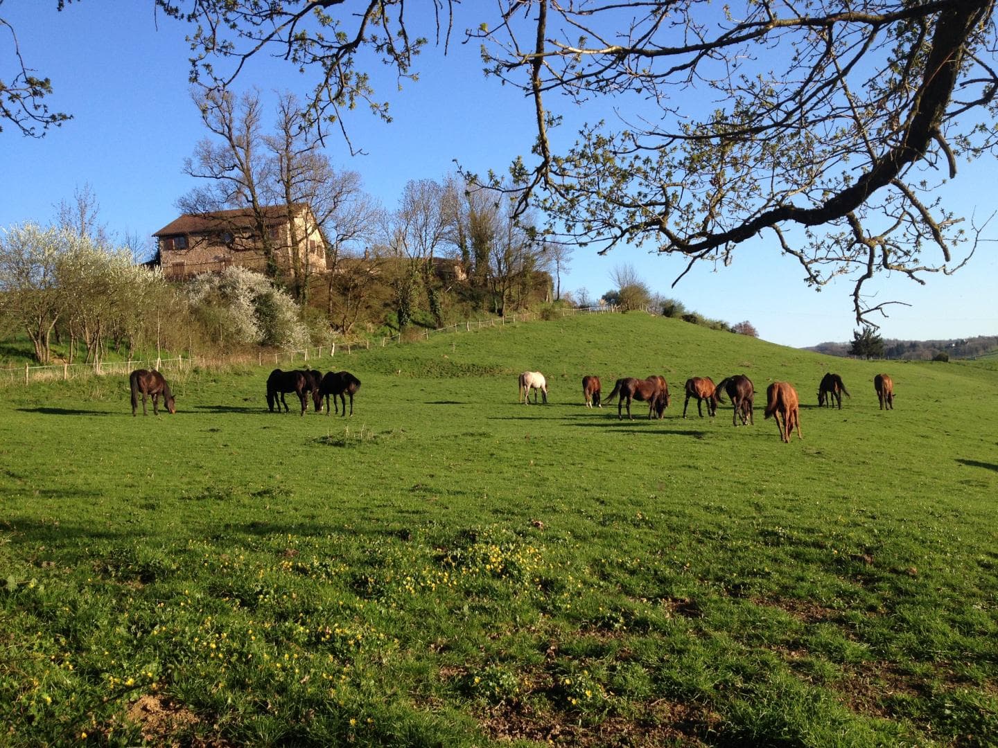 Gite "Leygat" à Solignac en Haute-Vienne (Limousin)_30