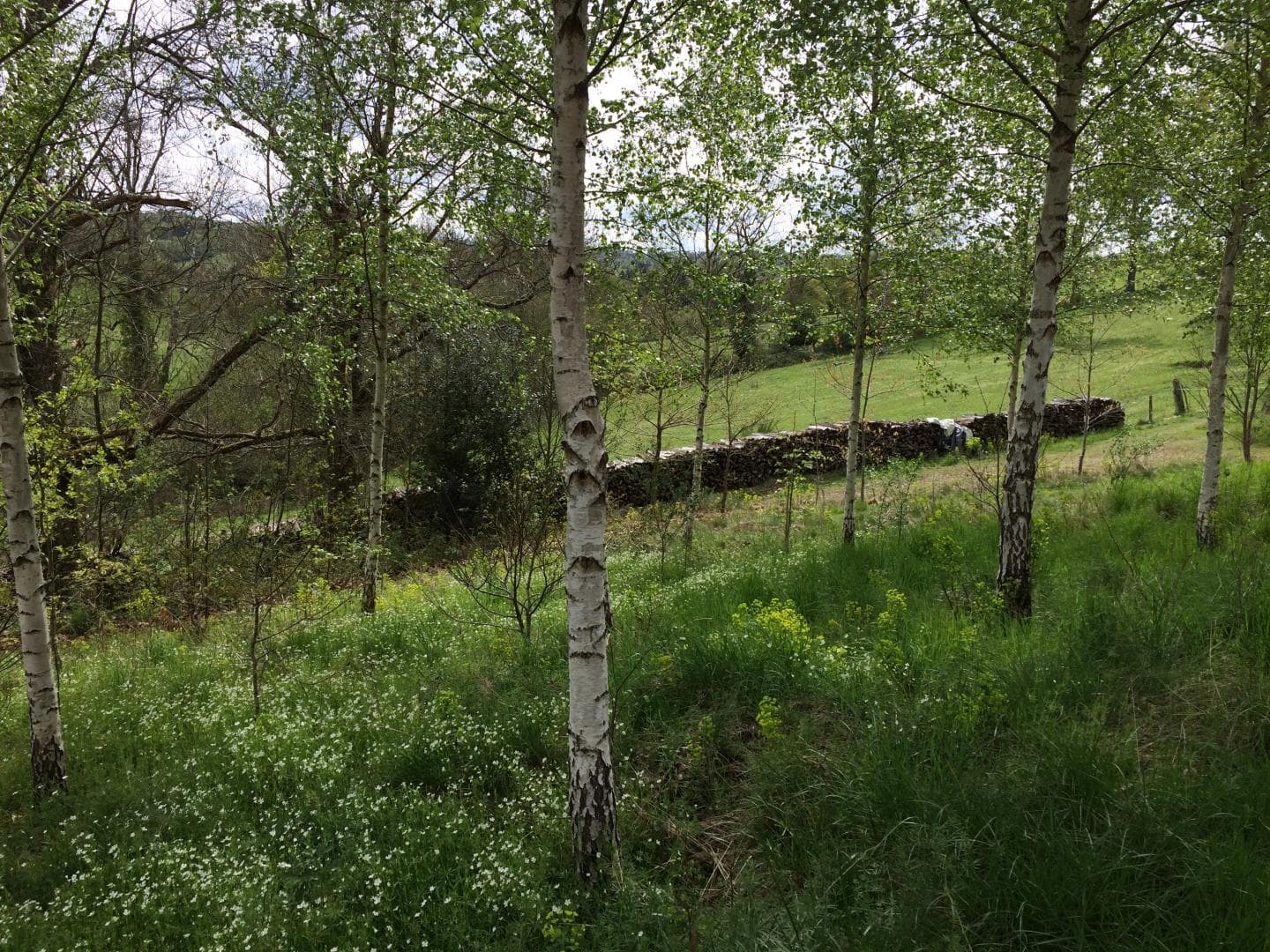 Gite "Leygat" à Solignac en Haute-Vienne (Limousin)_23