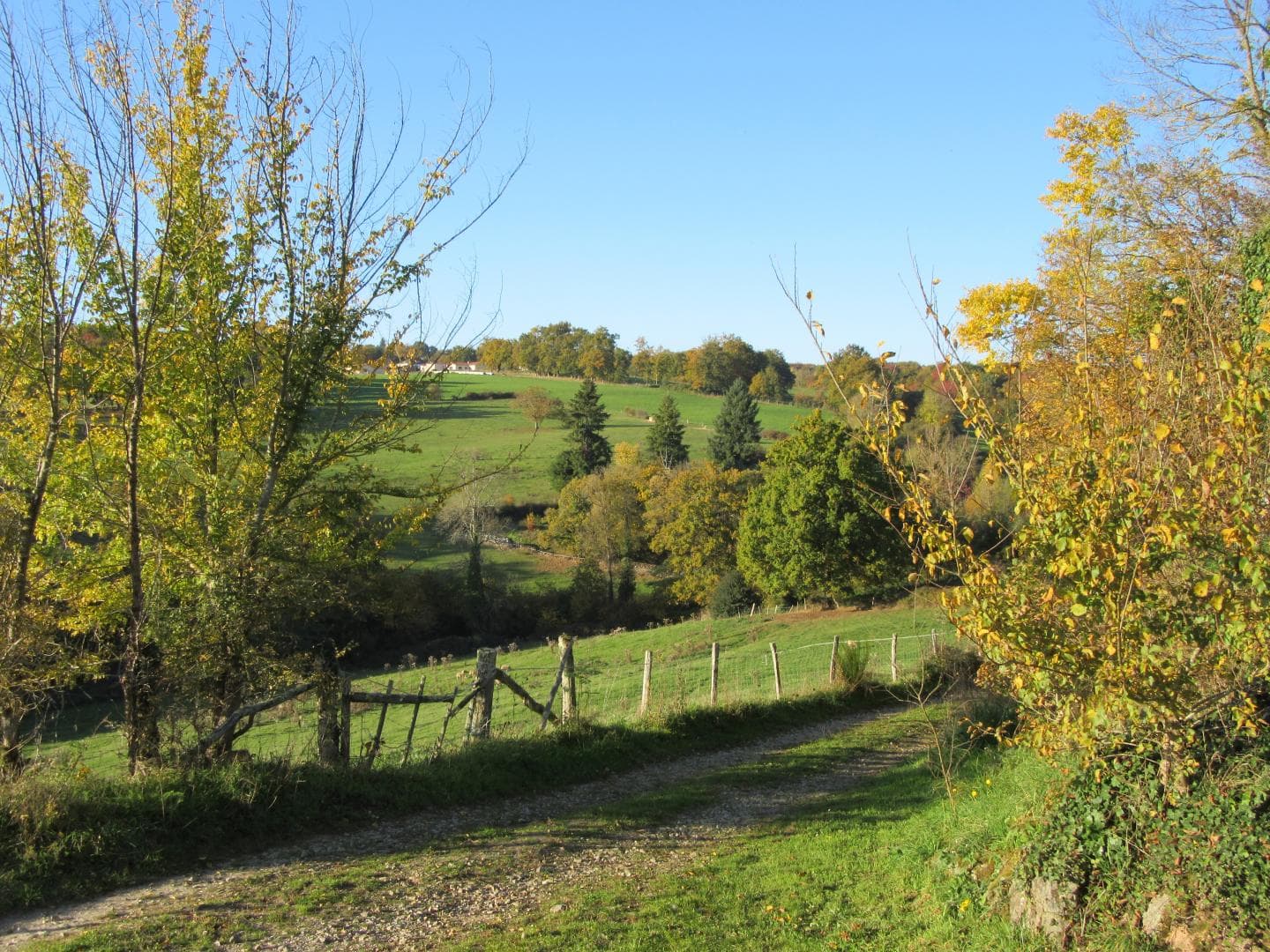 Gite "Leygat" à Solignac en Haute-Vienne (Limousin)_28