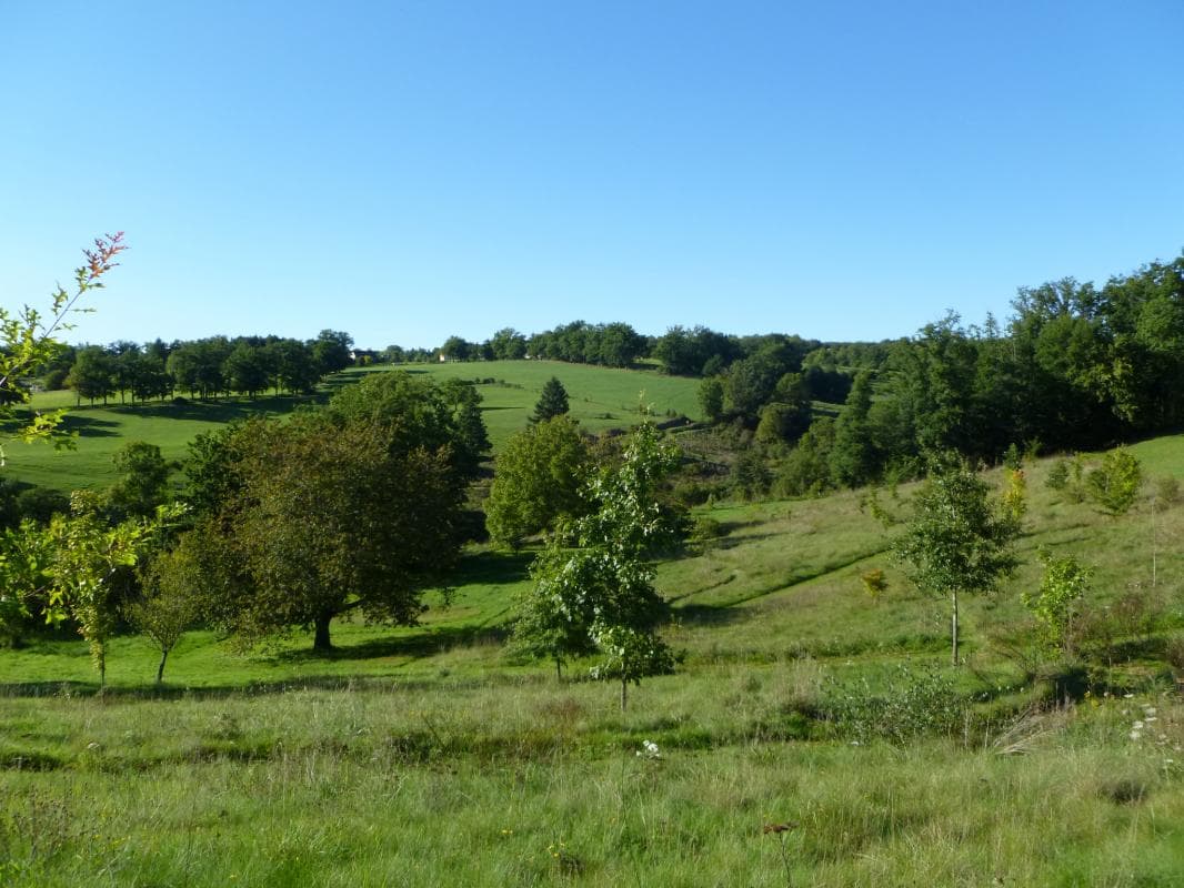 Gite "Leygat" à Solignac en Haute-Vienne (Limousin)_19