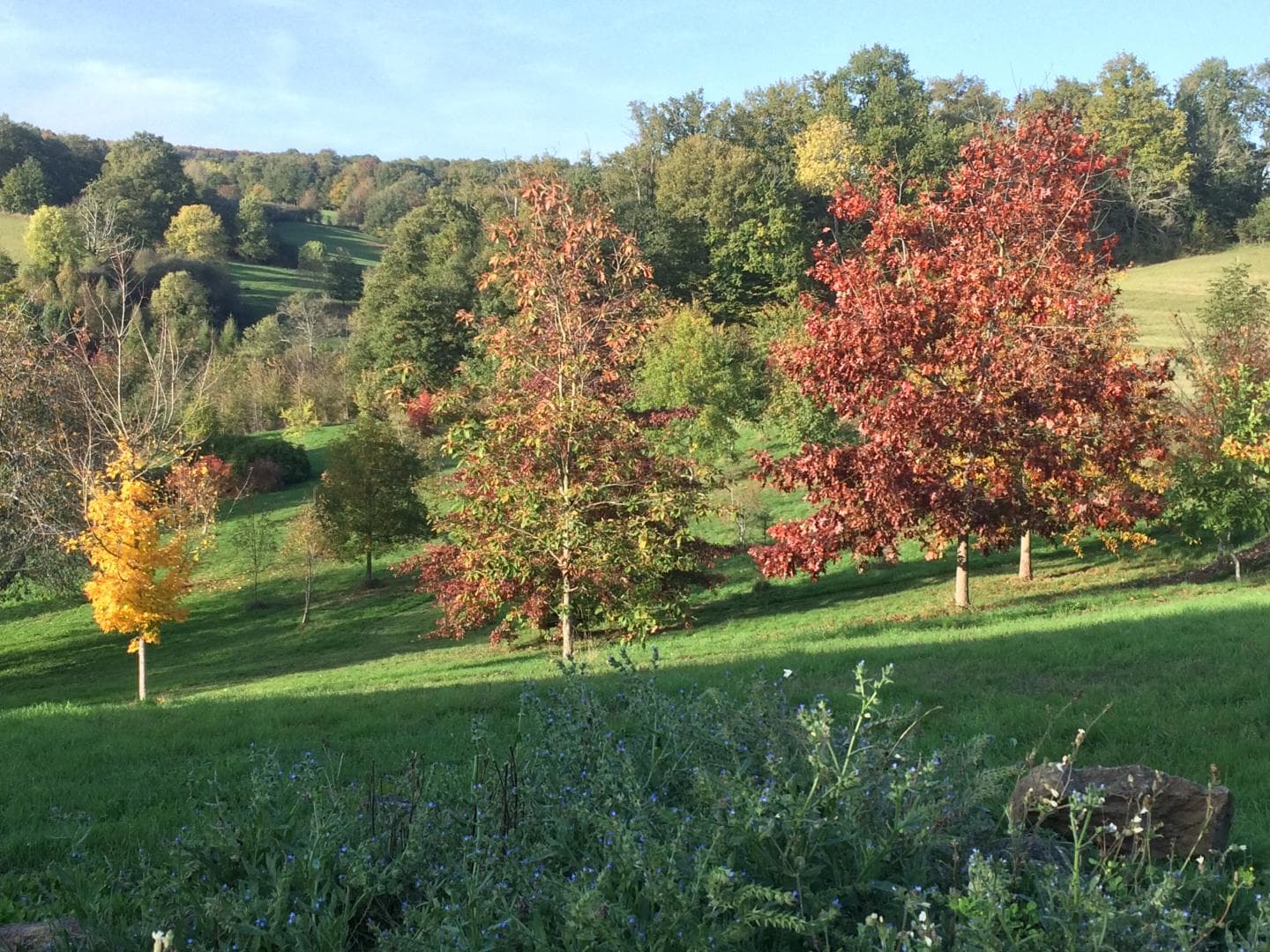Gite "Leygat" à Solignac en Haute-Vienne (Limousin)_32