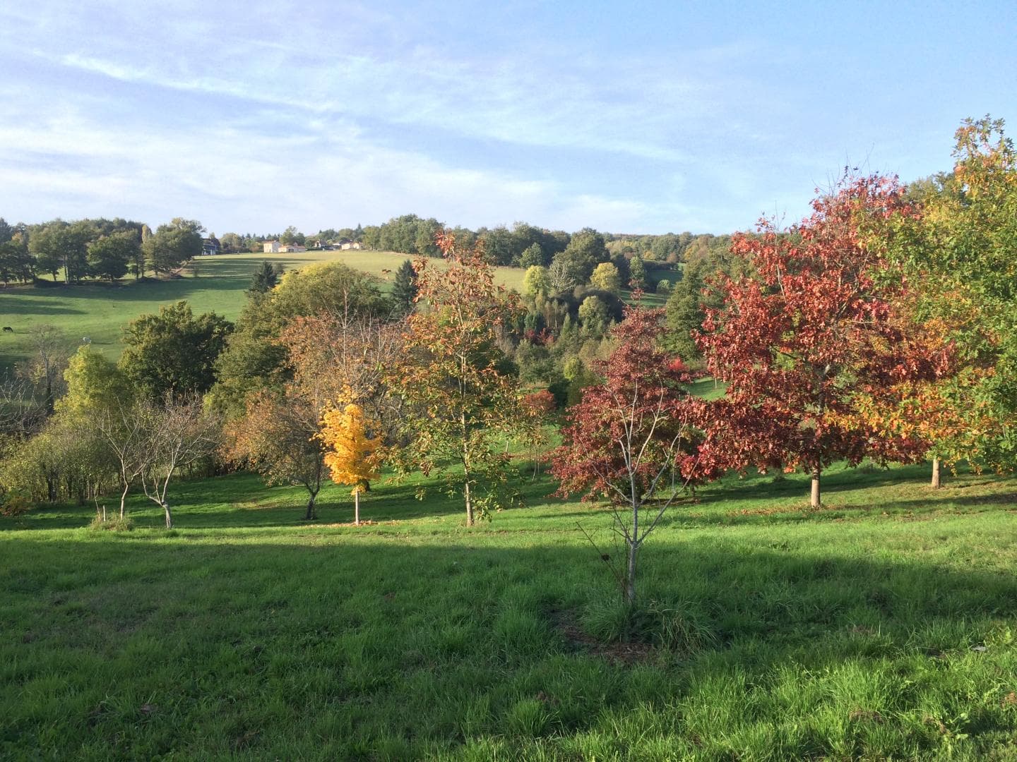 Gite "Leygat" à Solignac en Haute-Vienne (Limousin)_34