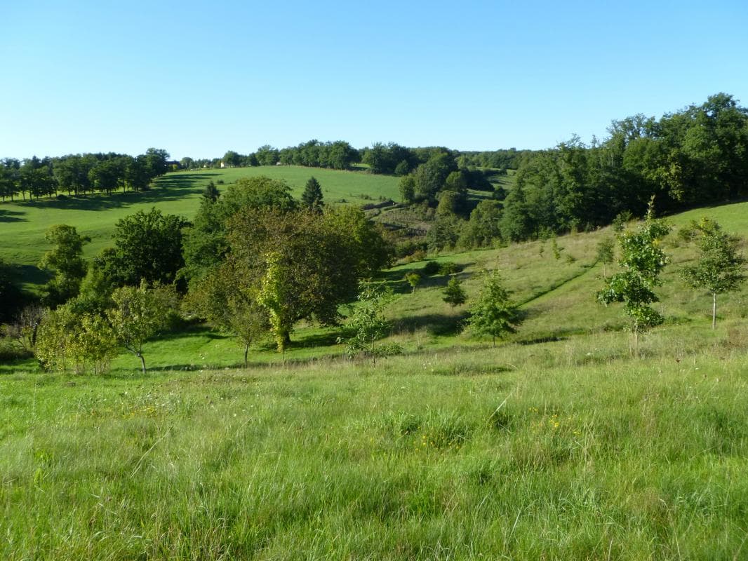 Gite "Leygat" à Solignac en Haute-Vienne (Limousin)_2