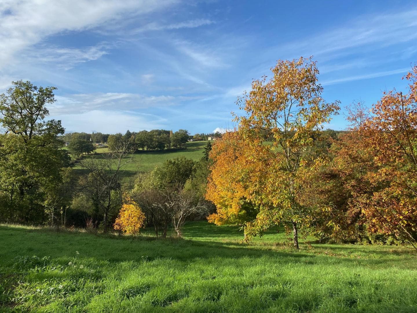 Gite de La Murette à Solignac en Haute-Vienne_19