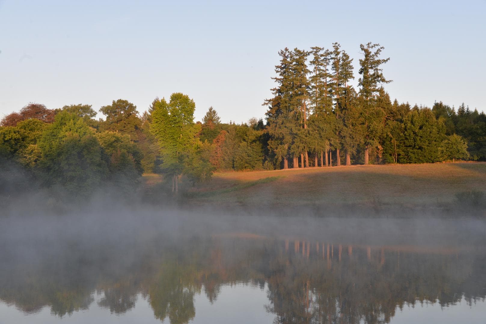 Château de Bort à Saint Priest Taurion en Haute-Vienne (Nouvelle Aquitaine) - Etang_59