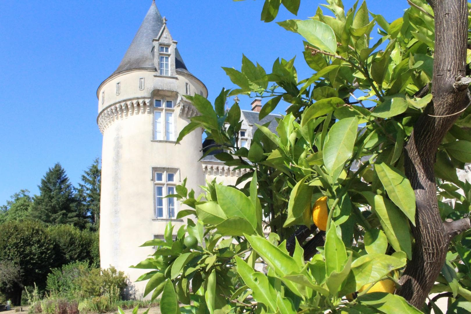 Château de Bort à Saint Priest Taurion en Haute-Vienne (Nouvelle Aquitaine)_53