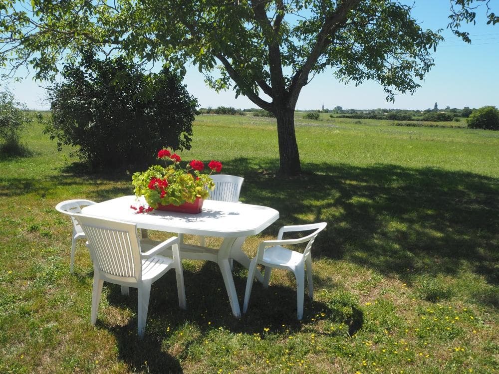 Le jardin