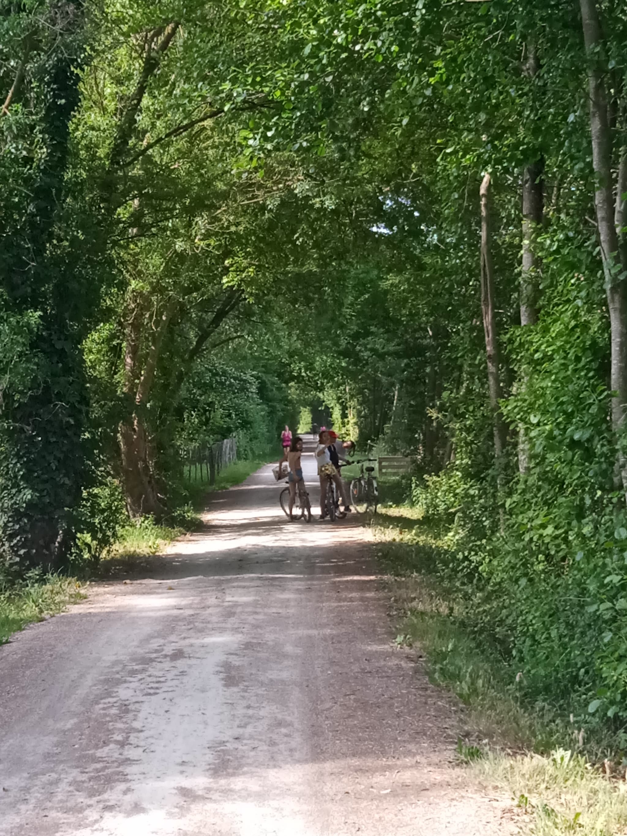 Parcours Vélo Francette