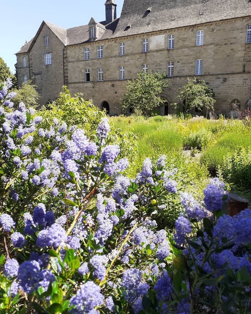 Jardin fleuri_14