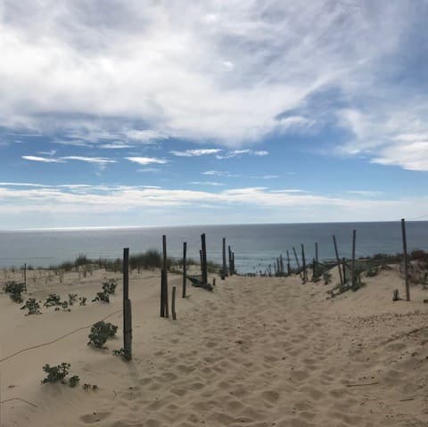 landes_atlantique_sud_vieux_boucau