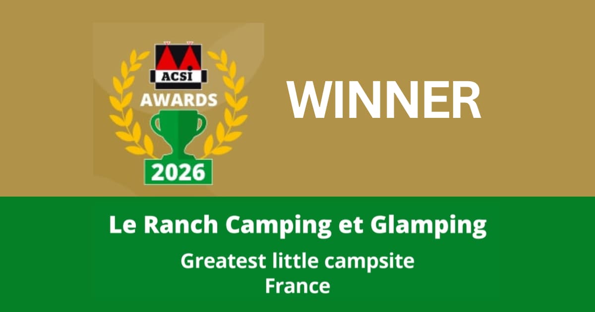 ACSI Awards 2026 winner