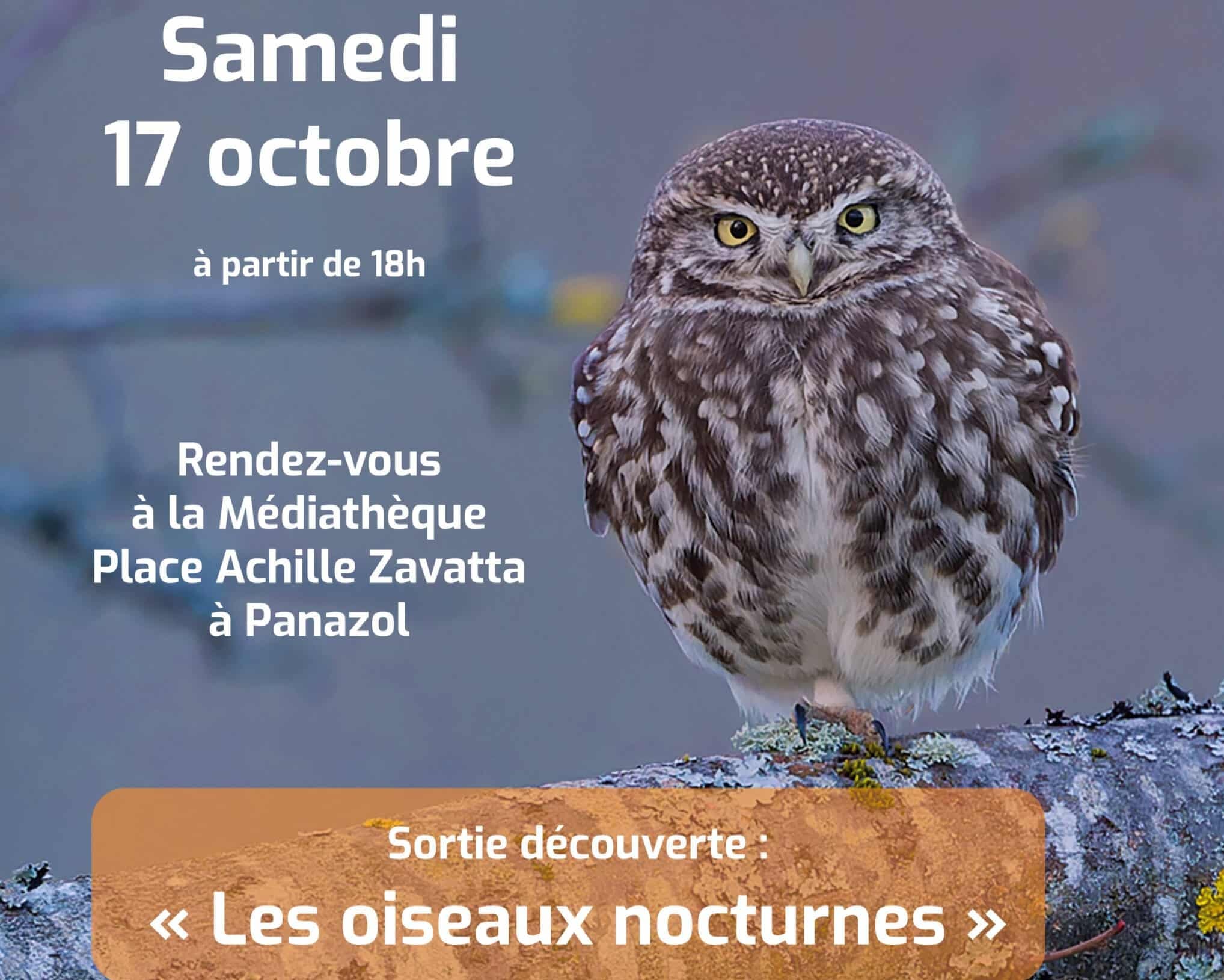 AFFICHE-Chouette-cheveche-web-scaled