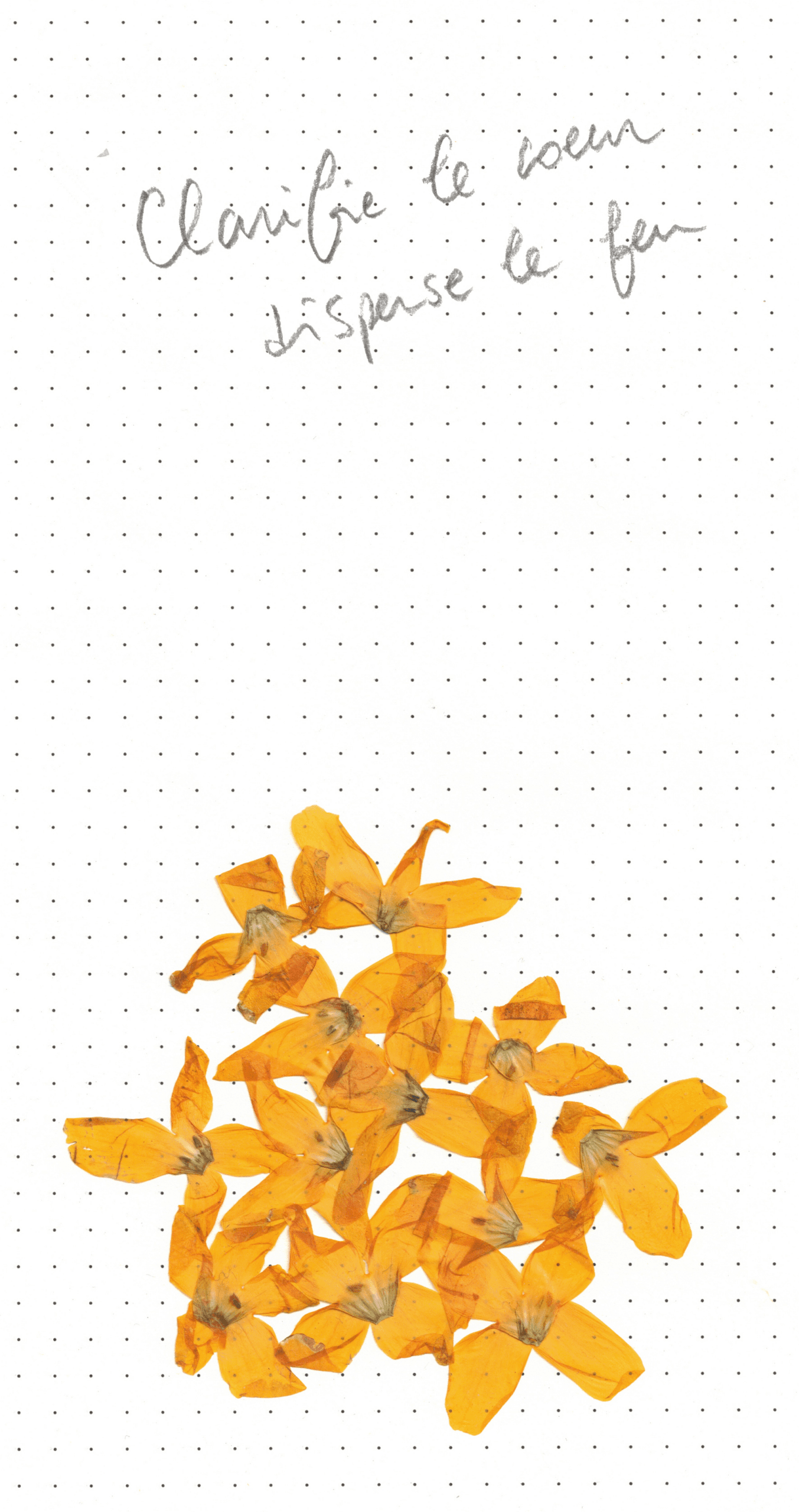 AFFICHE-SOCHEATA-rectov2-scaled
