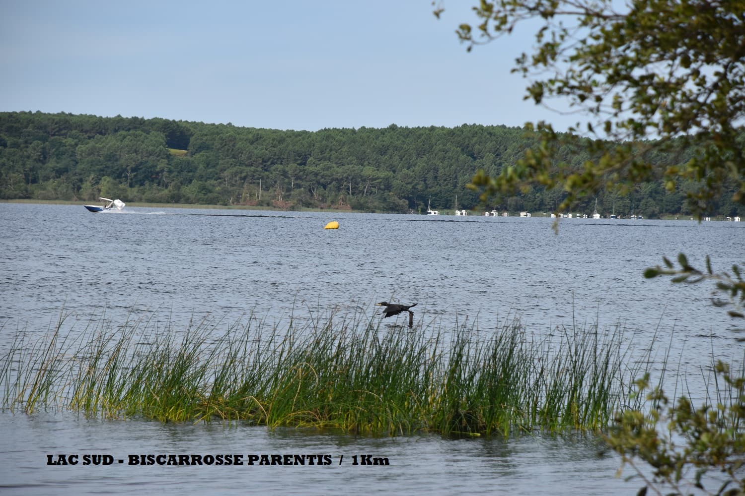 APPART HENSGEN (18)