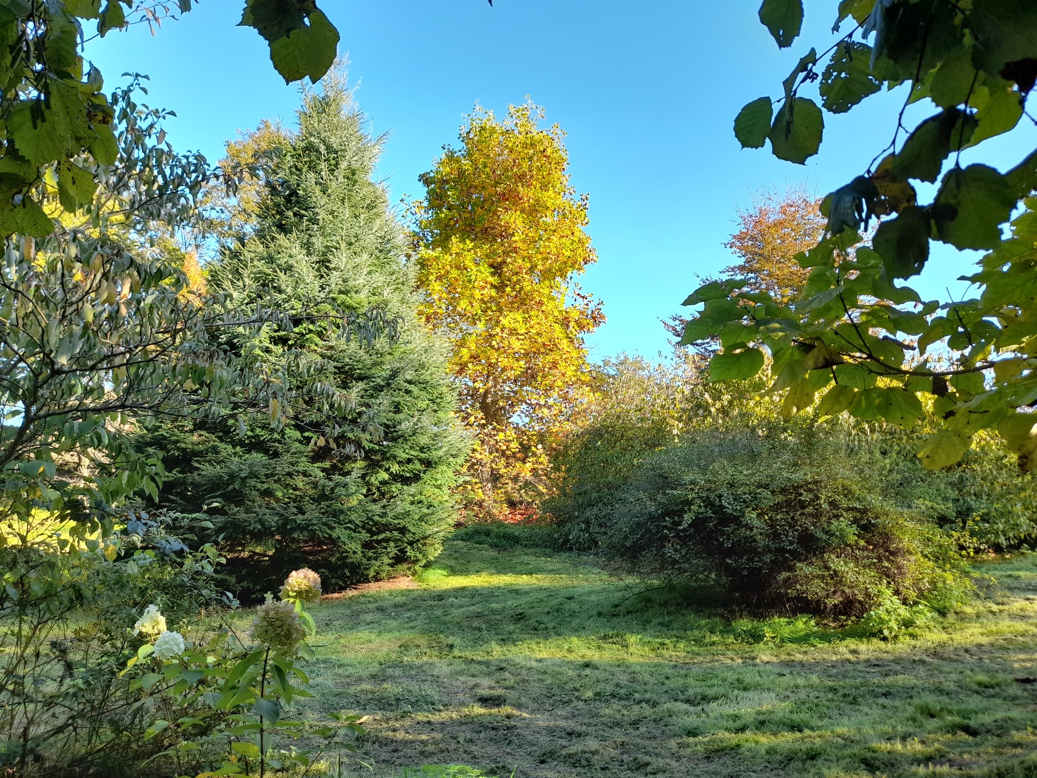 ARBORETUM PHOTO 1