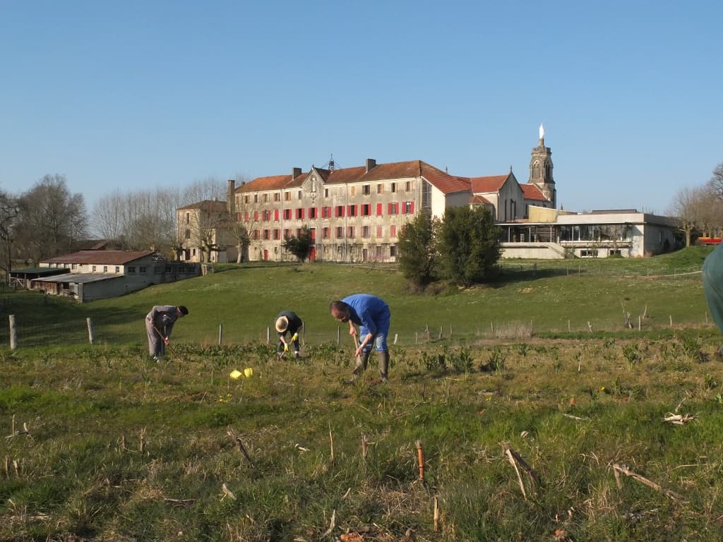 Abbaye de Maylis - Ramassage Tisane
