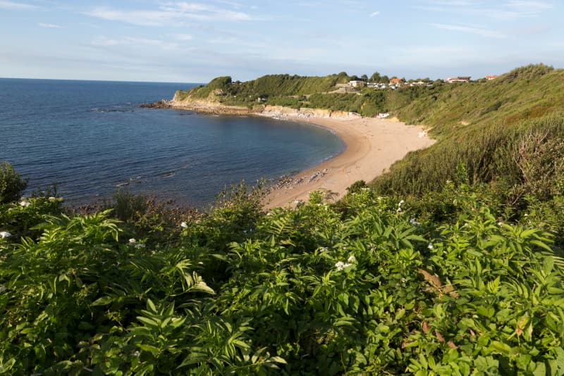 lafitenia saint jean de luz plage