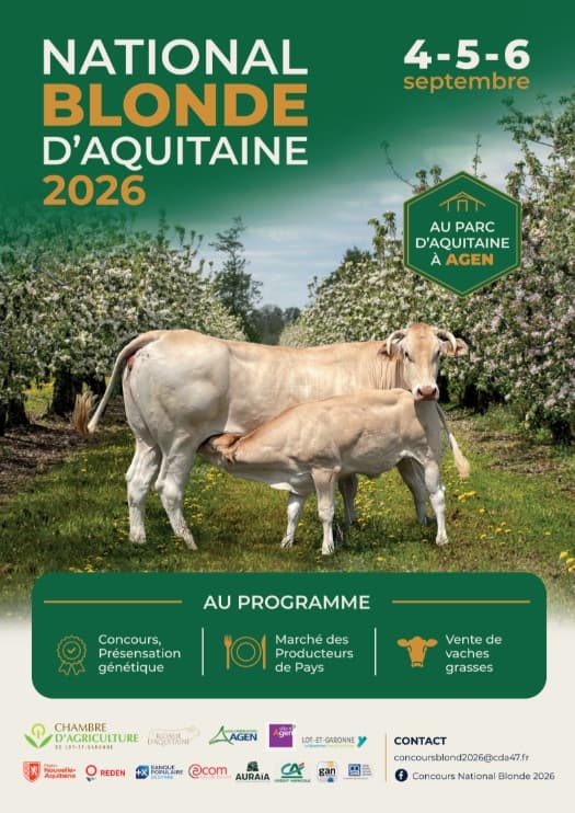Affiche blonde d'aquitaine